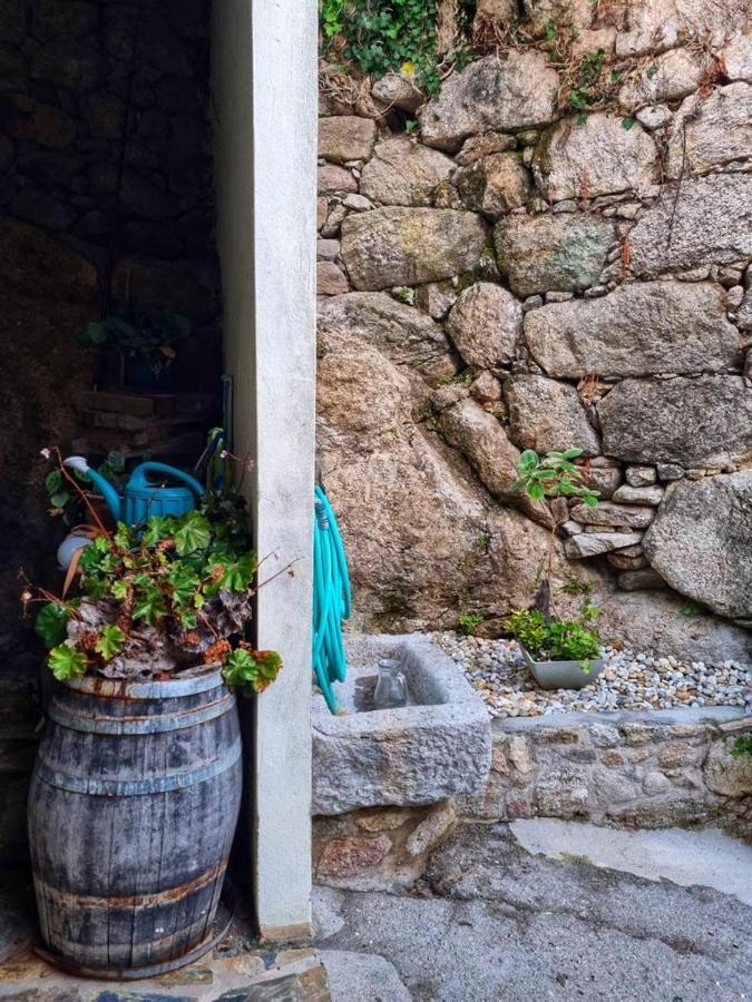 Alojamiento Casa Carlota Villadesuso Экстерьер фото